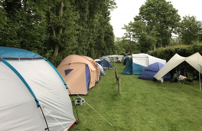 Tent Pitch